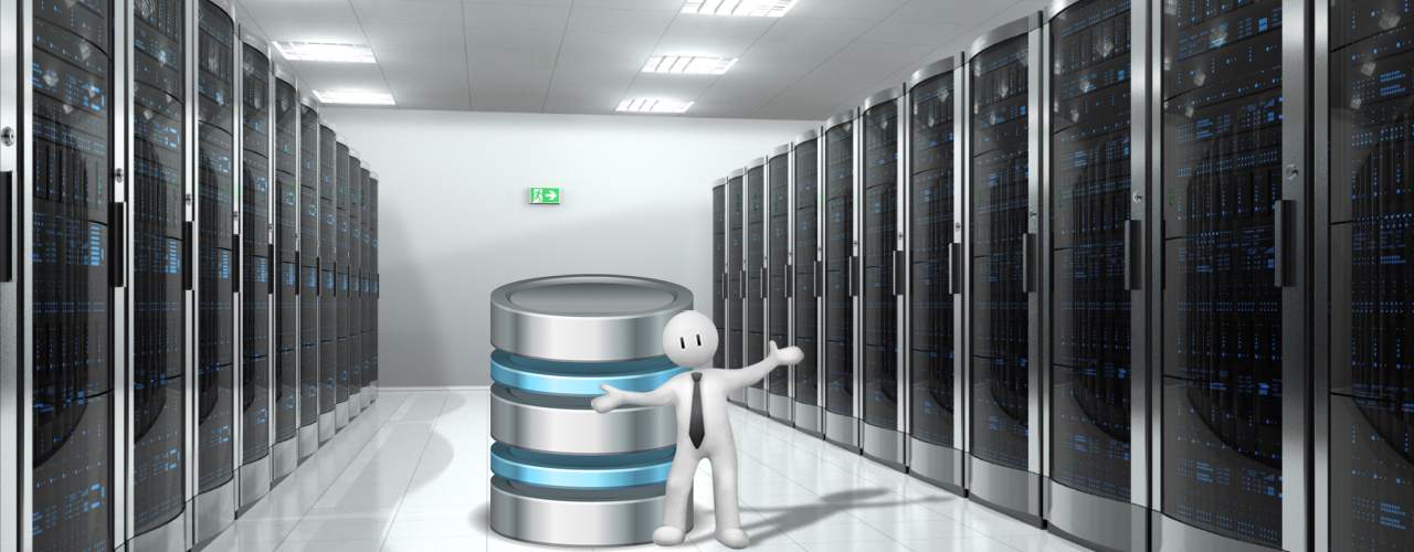 database administrator