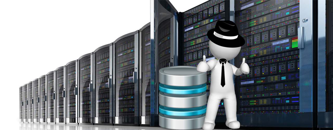 database experts